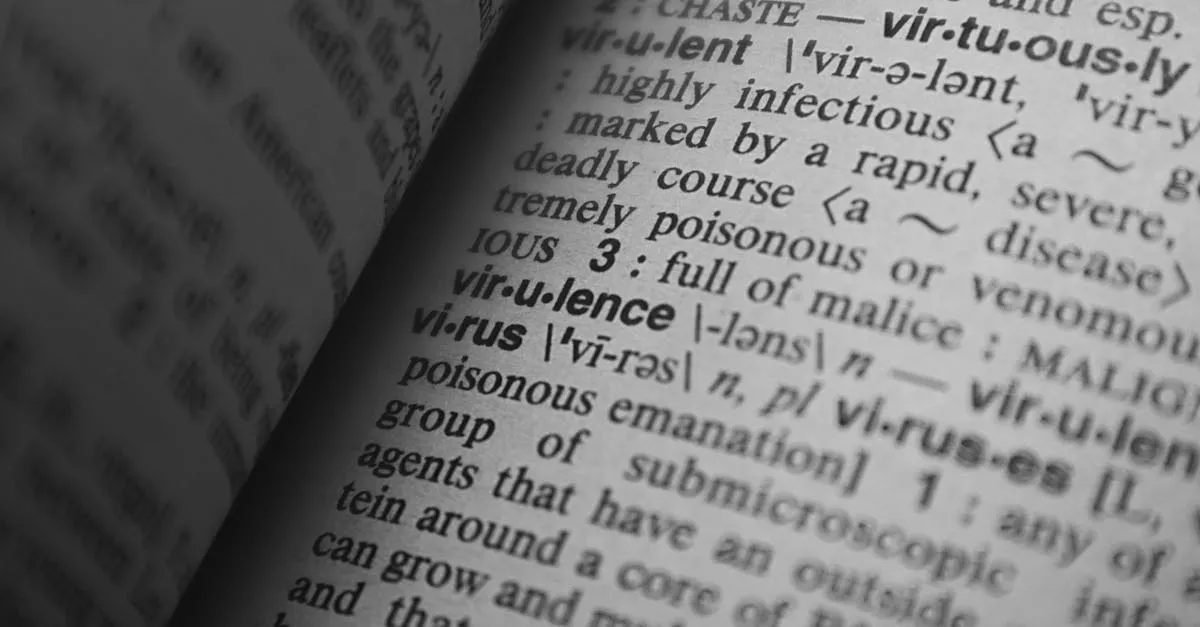 Dígito verificador: o que é, para que serve e onde encontrar